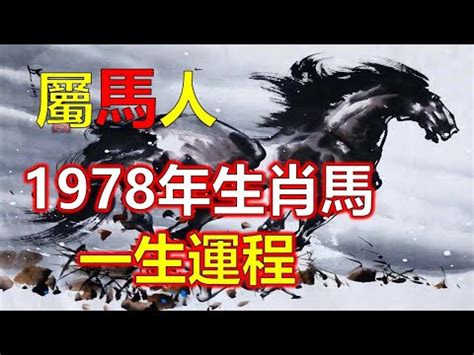 1978馬五行|1978屬馬：命中註定富貴